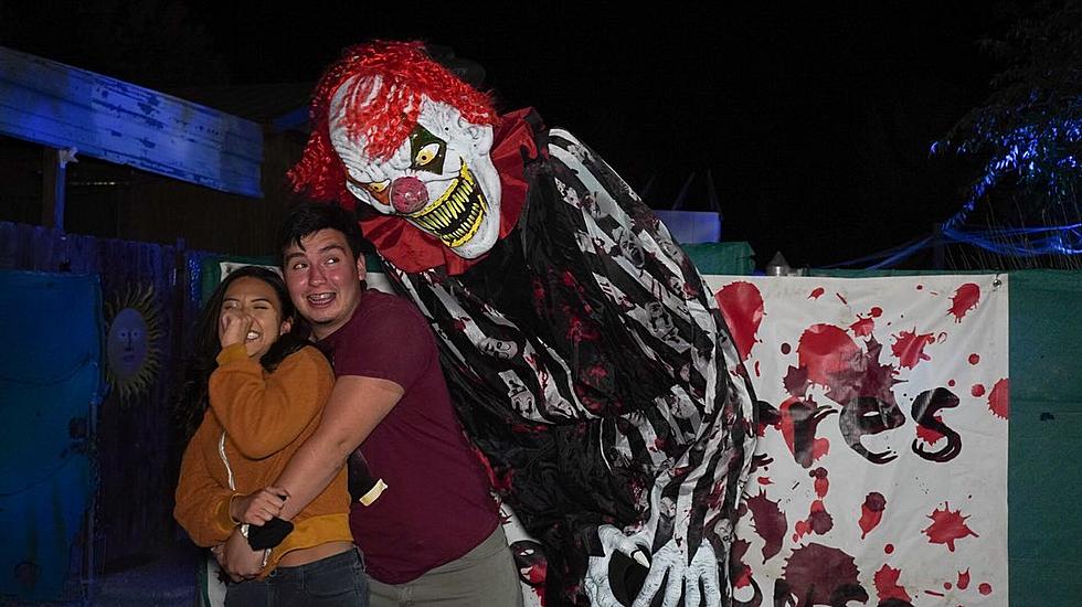 Boo at the Zoo, Sun City Frightfest Among 2021 Halloween-Themed Events