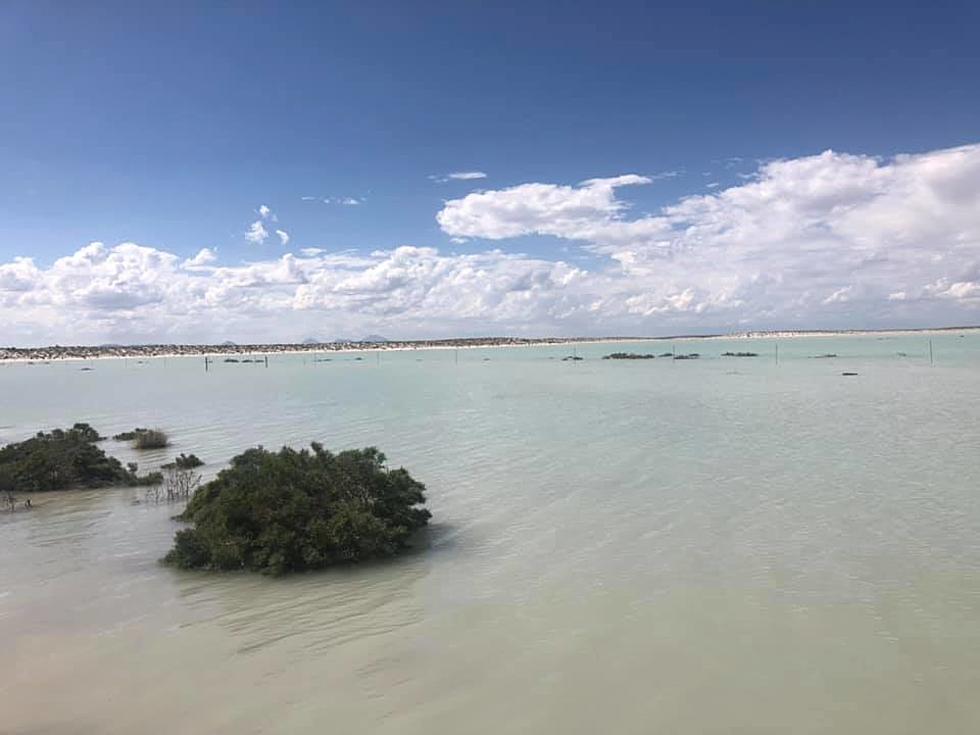 Salt Flats: An Unusual, Breathtaking Oasis in the West Texas Desert