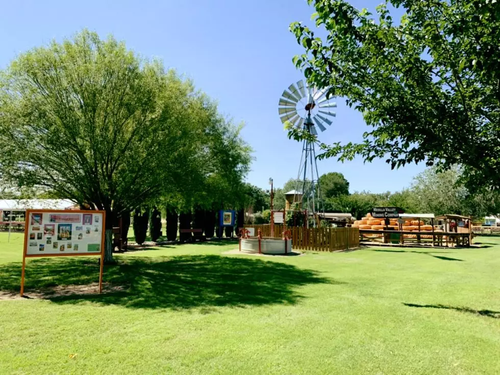 Mesilla Valley Maze Facebook