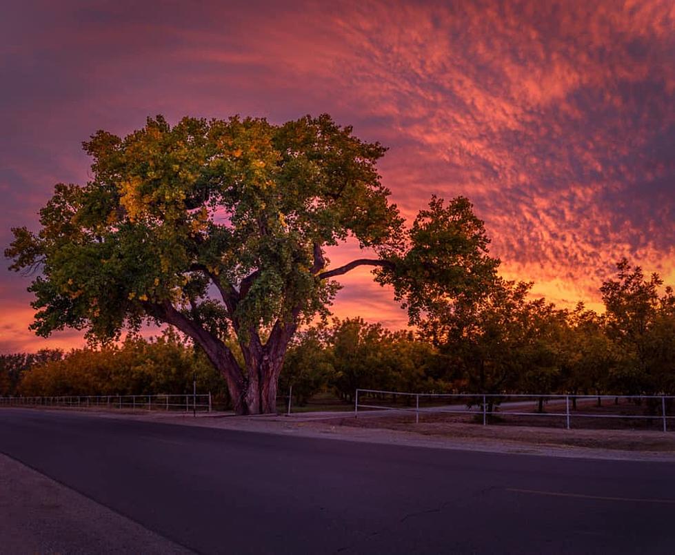 How Amazing Are El Paso Autumn Sunsets? Photo Captures Stunning Beauty