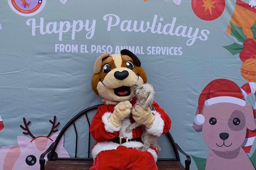 Santa Paws Touring El Paso Offering Free Mircrochips &#038; Pet Photos