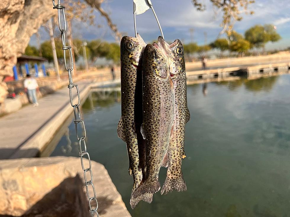 Ascarate Park Welcomes Back Trout Tournament After 2 Year Hiatus