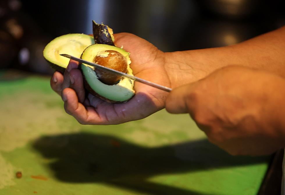 Shut The Guac Up! Feds Halt Mexican Avocado Imports Due To Threat