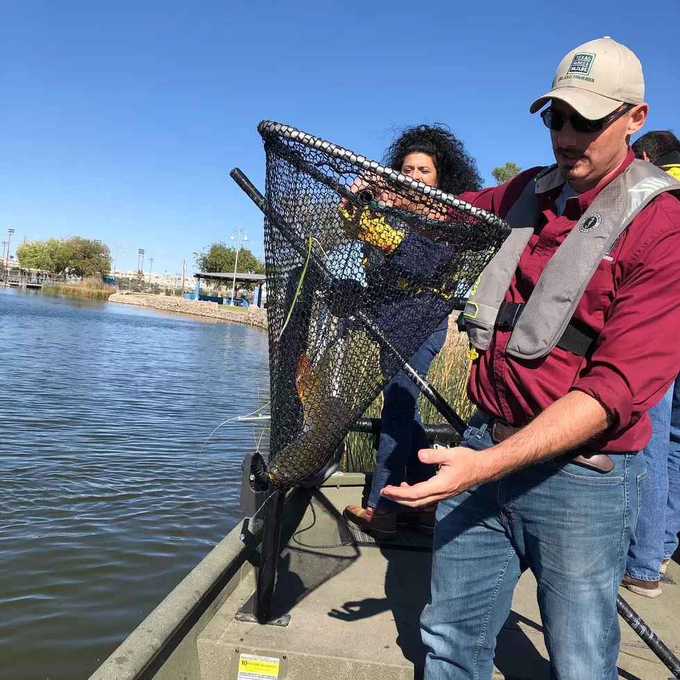 Ascarate Park Winter Trout Reel-In Fishing Tournament Happening This Weekend