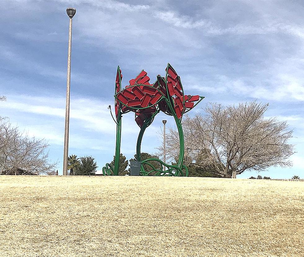 Check Out This Amazing Sculpture At An East El Paso Park