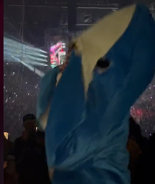 Social Media Loved This Guy In A Shark Costume At Bad Bunny pic