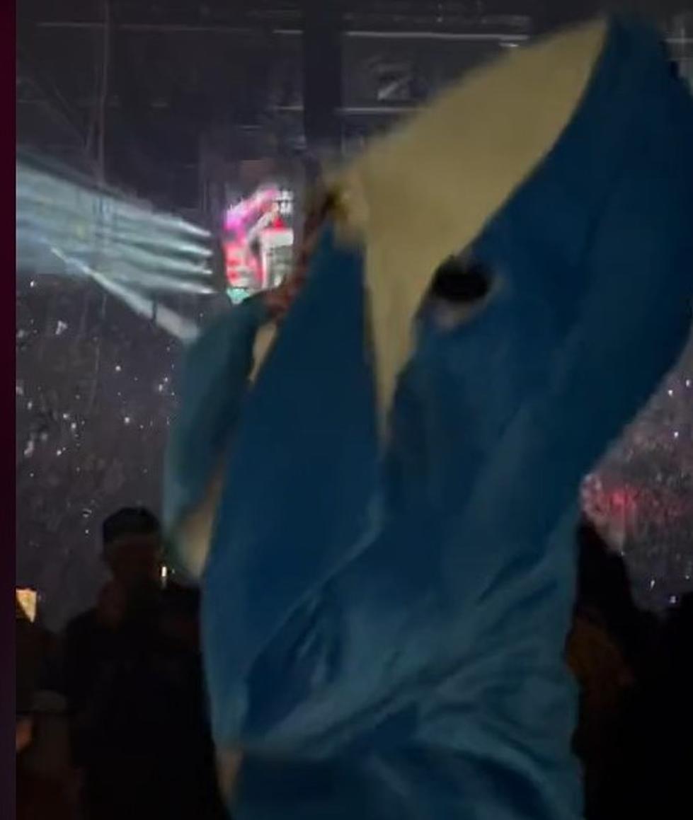 Social Media Loved This Guy In A Shark Costume At Bad Bunny