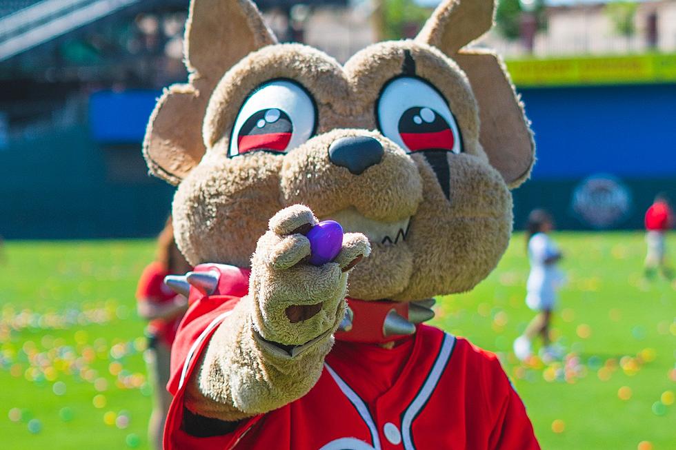 Chihuahuas Hosting Biggest Easter Egg Hunt in El Paso