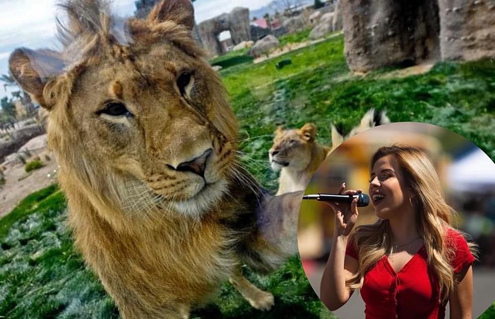 Get Wild &#038; Crazy At El Paso Zoo&#8217;s Music &#038; Wildlife Fest In June