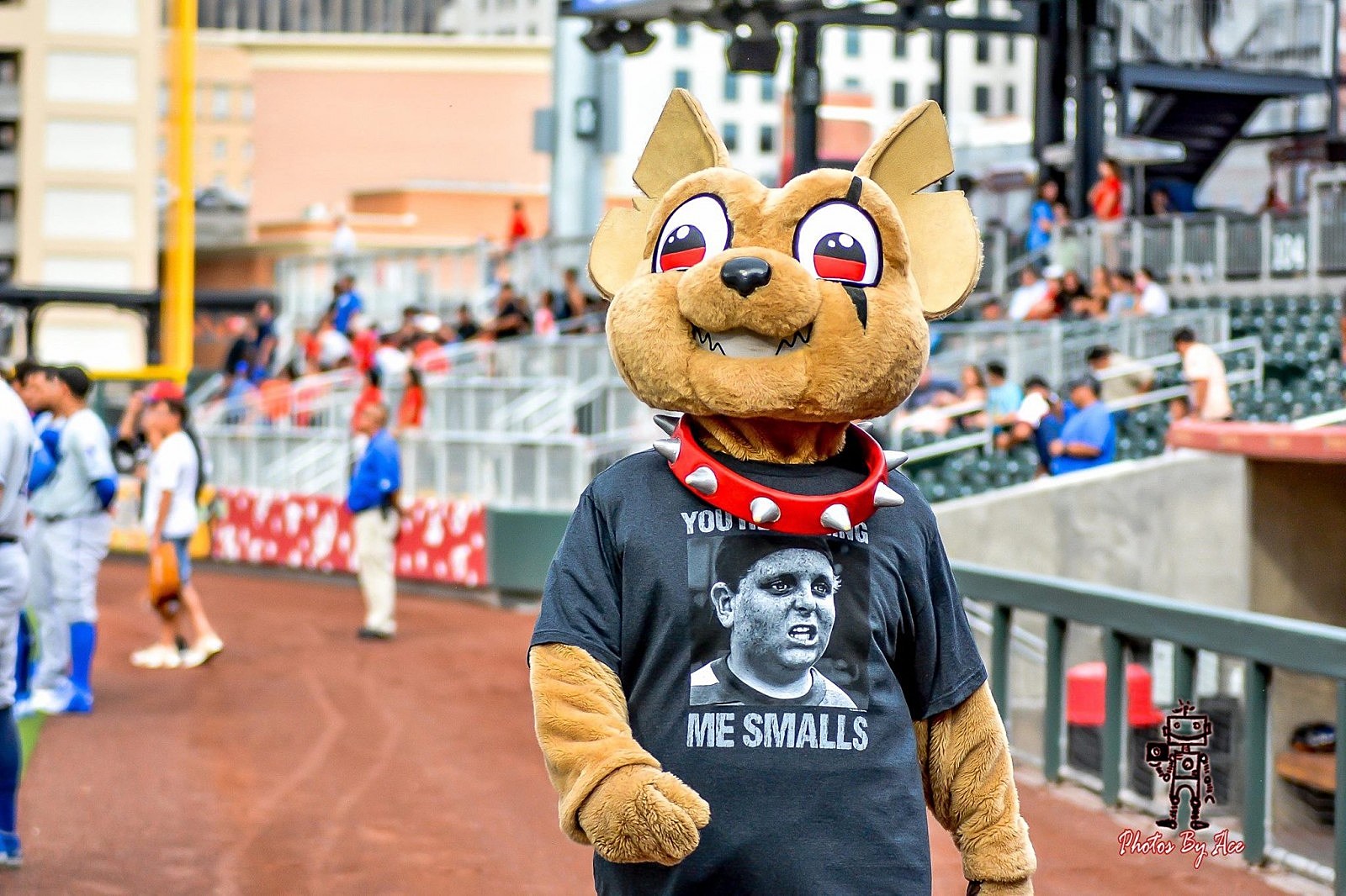 It's Time to Embrace the El Paso Chihuahuas, Everybody – Texas Monthly