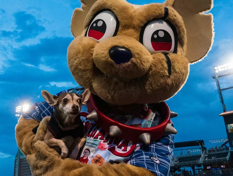 El Paso Baseball Loving Dogs Get Their Day at the Ballpark 