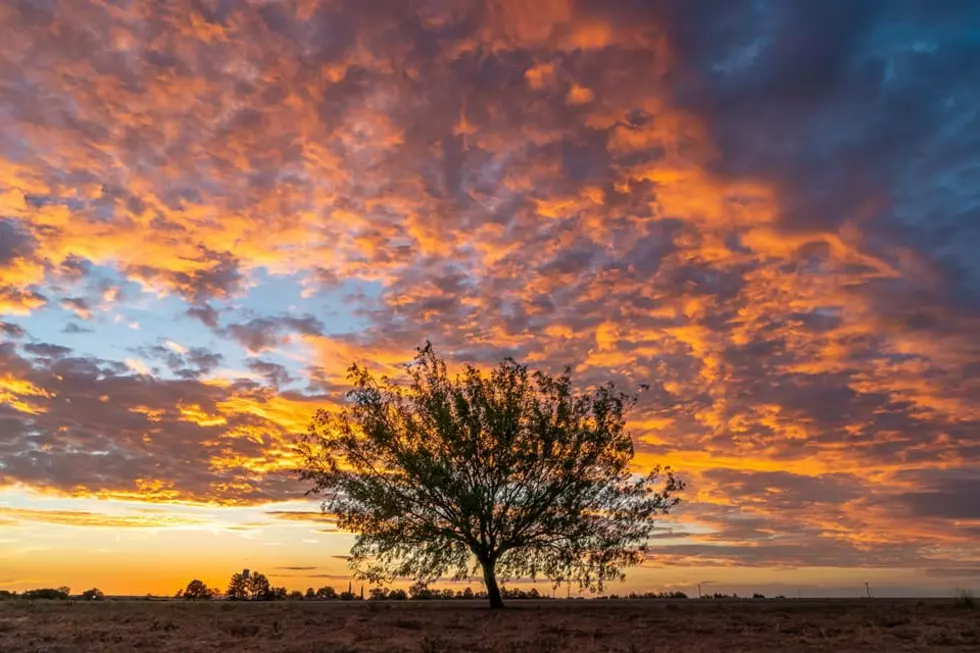 New Museum Exhibit Will Feature El Paso Sunsets, Sunrises