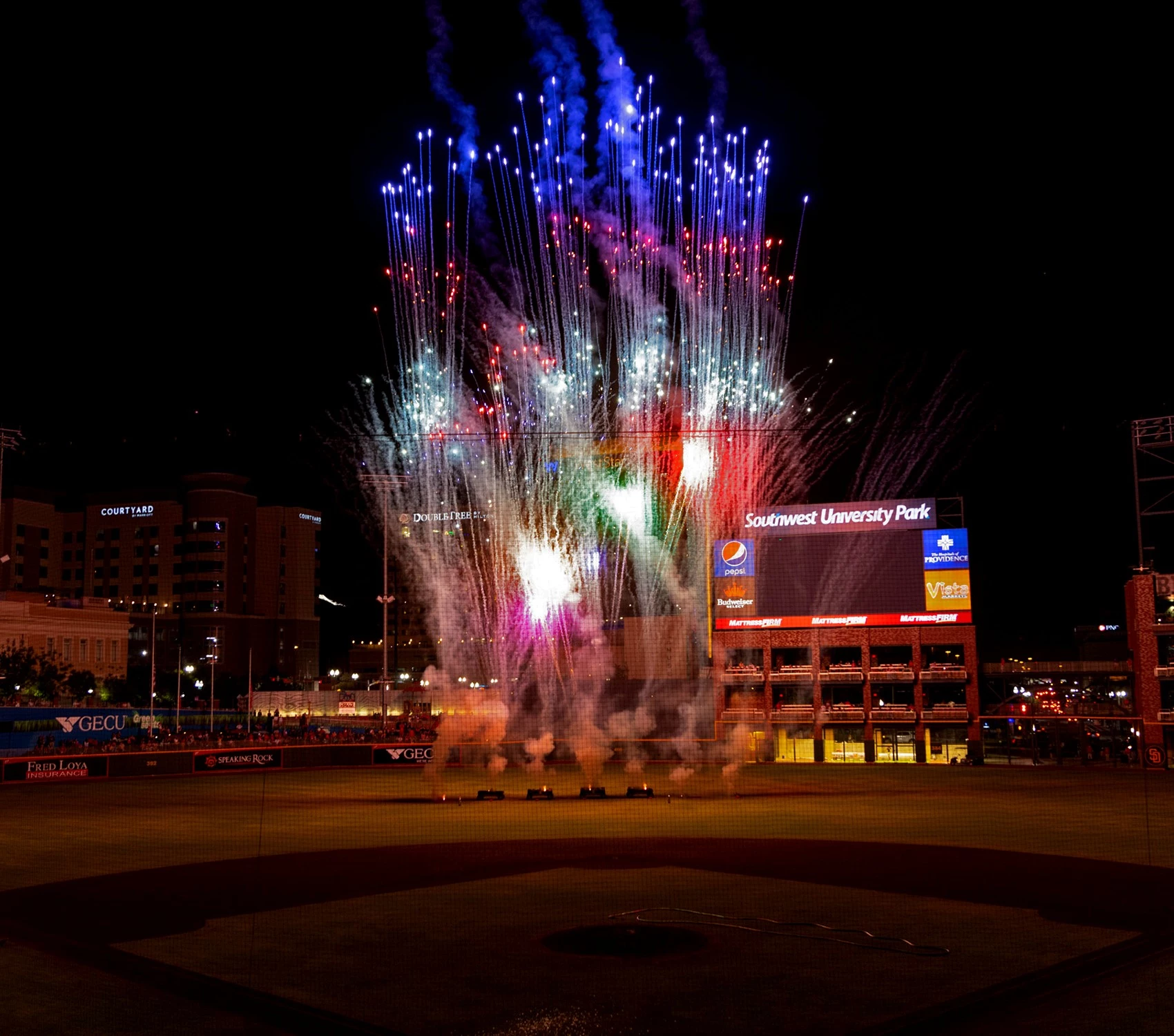 ELP Chihuahuas Unveil 4th of July Stars and Stripes Look