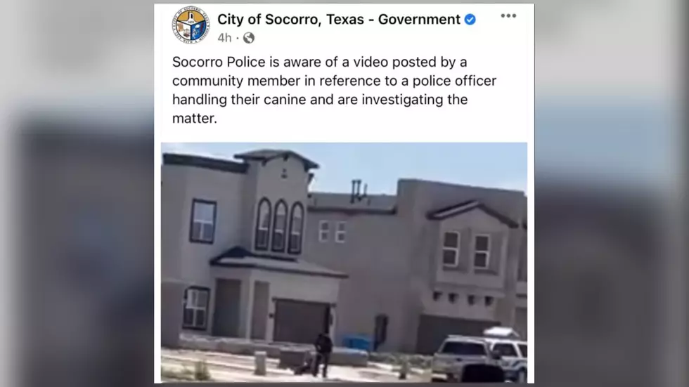 El Pasoans React To Video Of Socorro Police Officer Hitting Dog