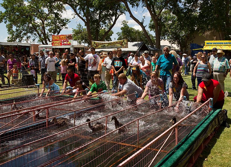 El Pasoans Will Have Feathered Fun at Great American Duck Race