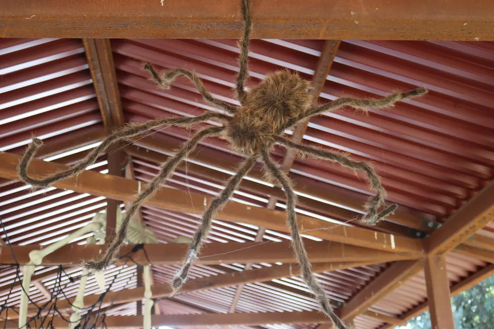 El Paso Zoo