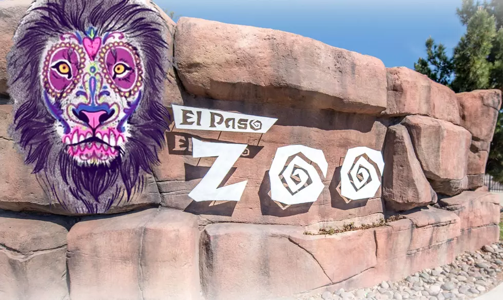 How the El Paso Zoo Keeps Its Animals Cool