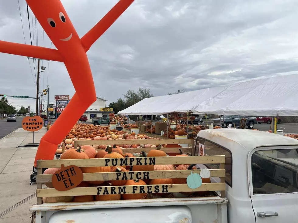 El Paso-Area Pumpkin Patches for Those Who Don’t Want to Go to a Corn Maze