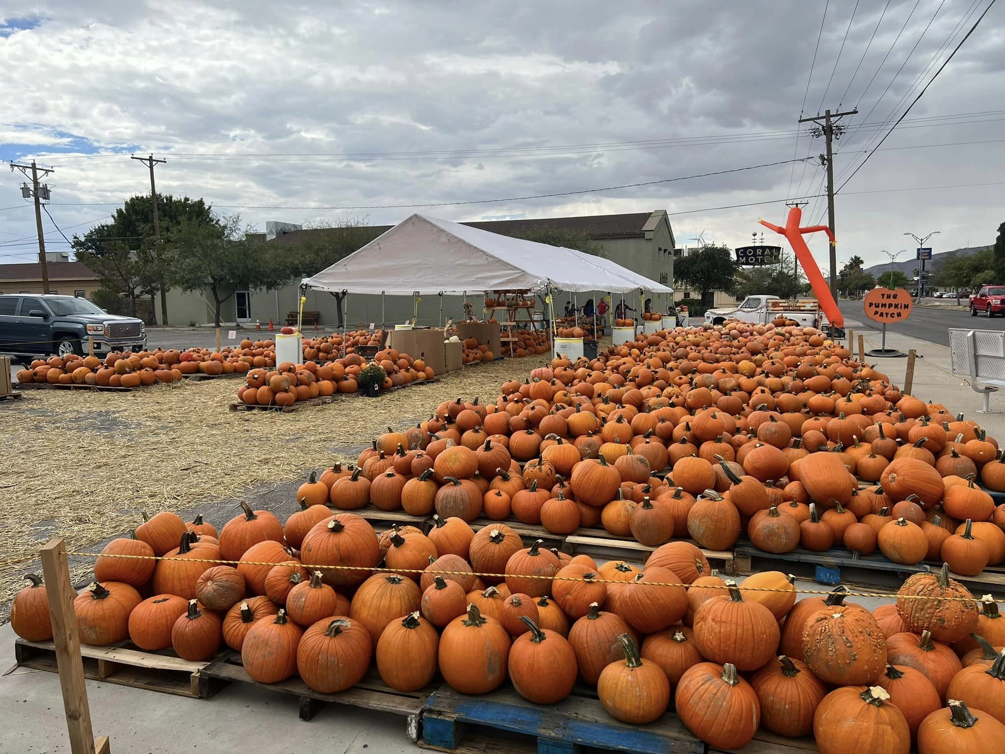 Pumpkin Patches for Those Who Don t Want to Go to a Corn Maze