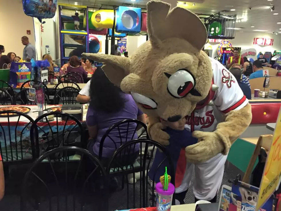 El Pasoans Can Help Chico The Chihuahua Win Three Mascot Hall Of Fame Awards