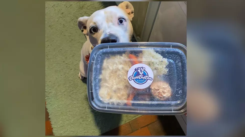 Local Dog Bakery Donates Dog Thanksgiving Meals For Shelter Dogs