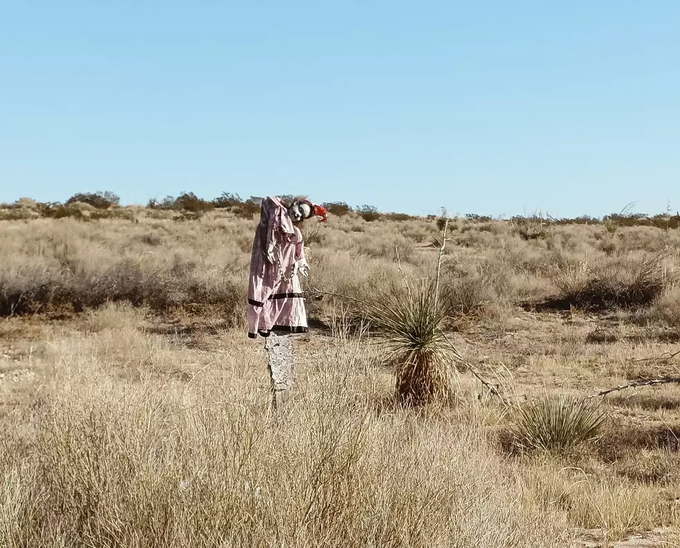 Creepy Roadside Doll Haunts Travelers in the Desert Near El Paso, Texas