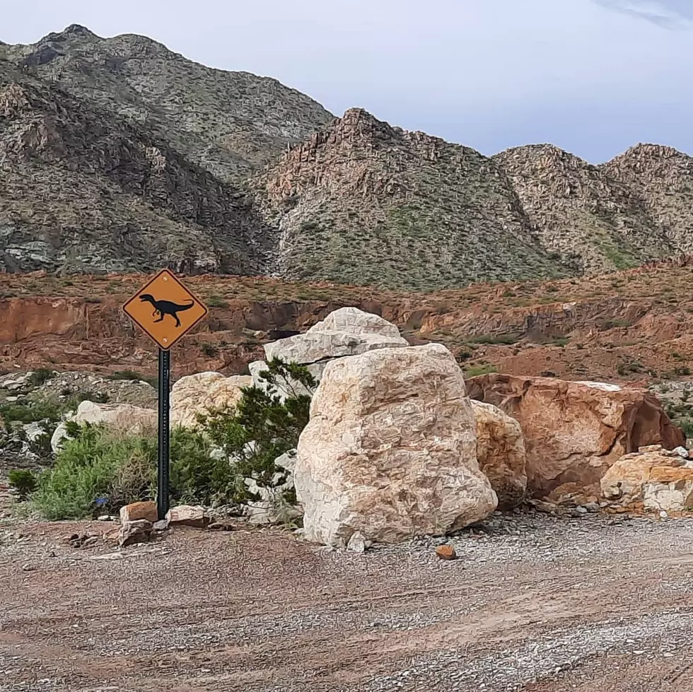 Guided El Paso DinoTracks Hikes Are Back! 