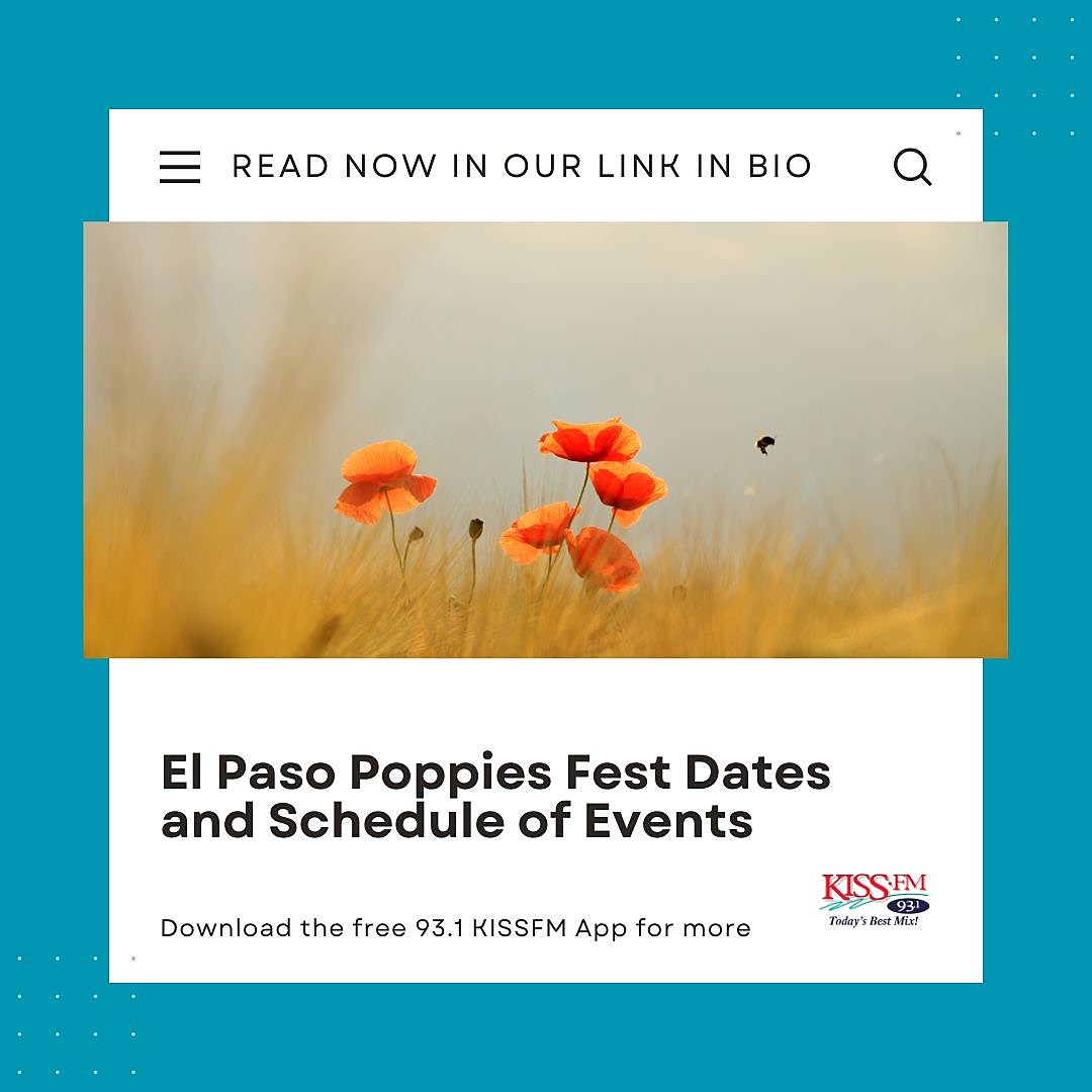El Paso Poppies Fest 2023 draws nature lovers from across Borderland