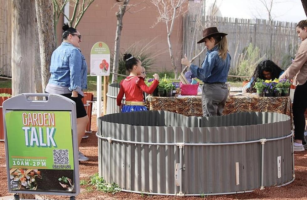 Spring Break At The El Paso Zoo Is Sure To be A Wild One