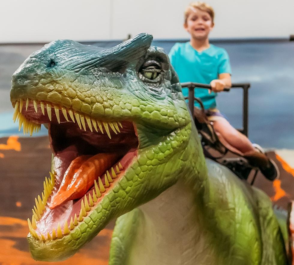 Life-Like, Life-Sized Dinosaurs Coming to El Paso this Summer