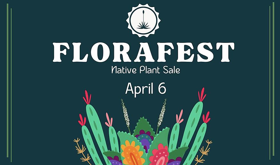 Get Ready For UTEP’s Annual Spring FloraFEST Sale