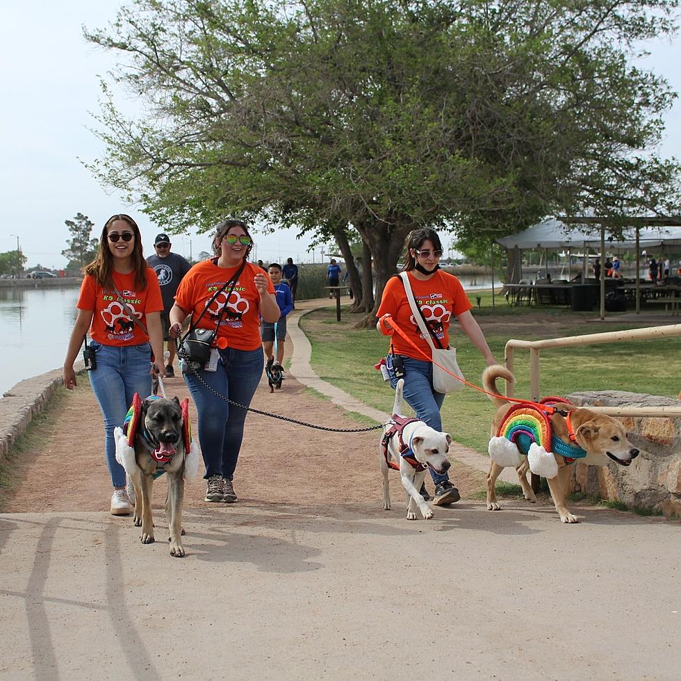 Humane Society of El Paso’s 34th Annual K-9 Classic is A Pawsitively Fun Event for a Worthy Cause