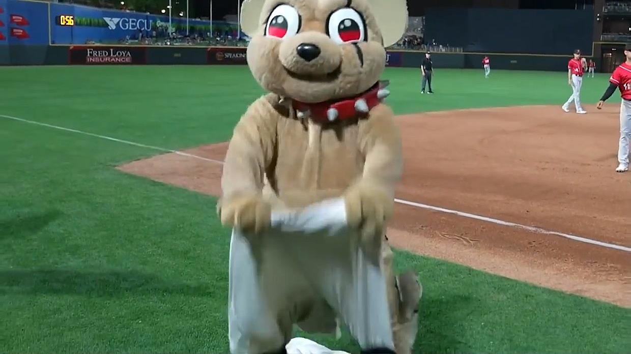 El Paso Chihuahuas Mascot (Chico) with a new Friend
