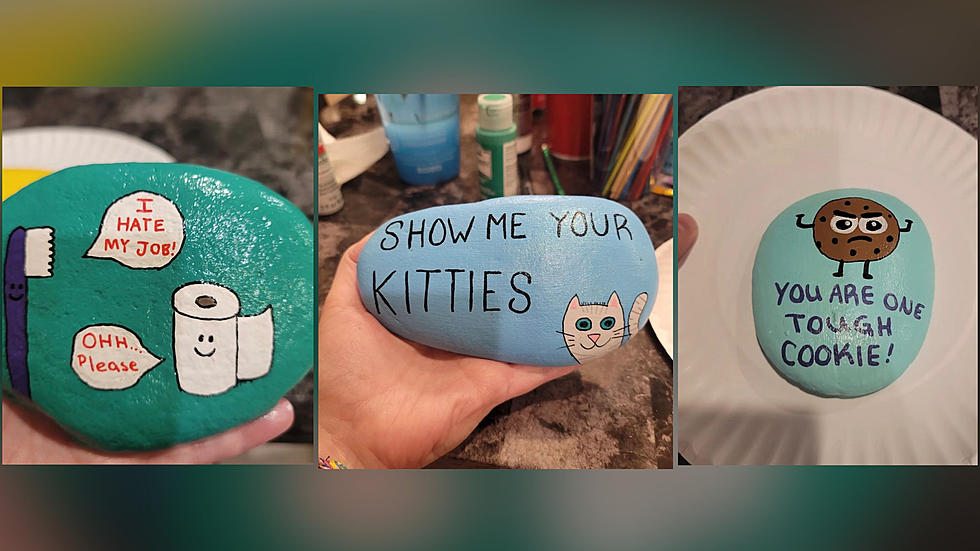 This Texas Mom Is Spreading Joy With Her Hilarious Painted Rocks 