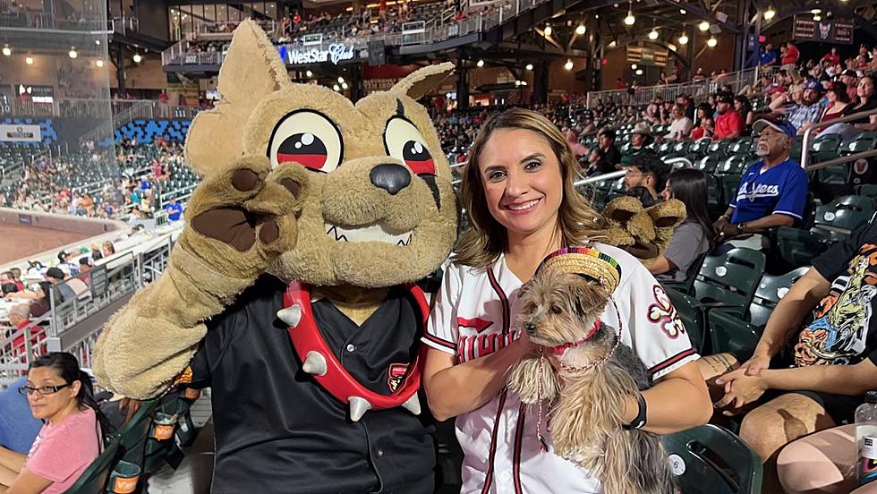 Chihuahuas ready for 2023 Opening Day 
