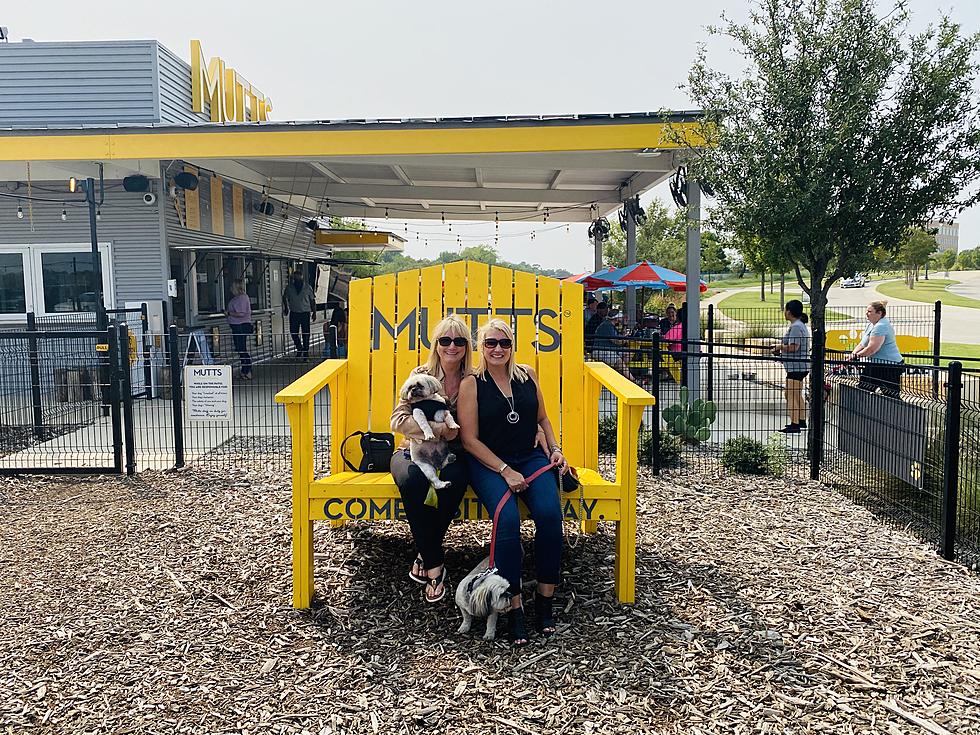 Mother-Daughter Duo One Step Closer To Opening El Paso’s First MUTTS Canine Cantina