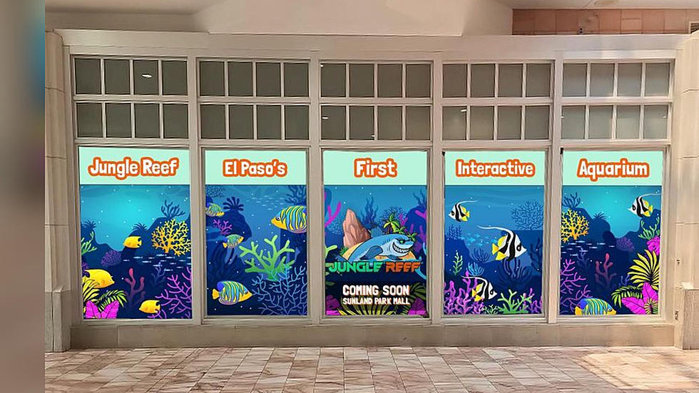 Jungle Reef Interactive Aquarium to Bring Sharks, Otters, and More to Shoppes At Solana