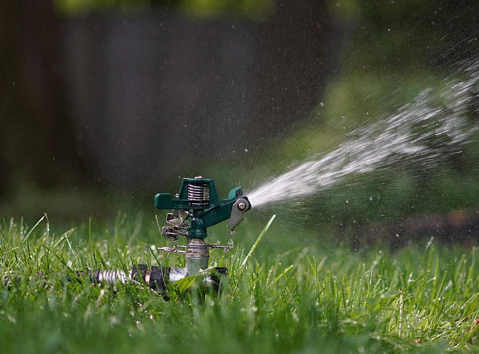 El Paso Summer Watering Rules – How to Stay Compliant