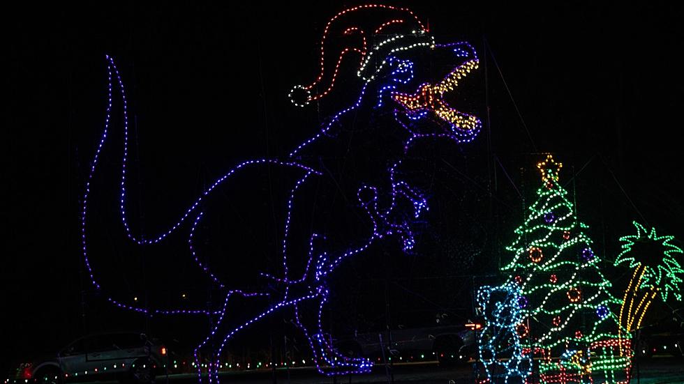 Magic of Lights Debuts at Camp Cohen Waterpark