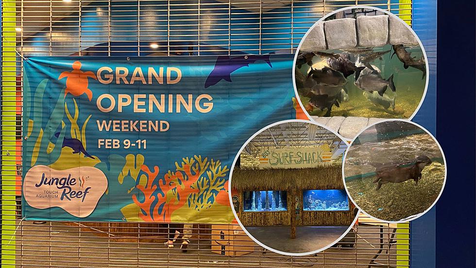 Grand Opening Weekend Announced for El Paso's Jungle Reef