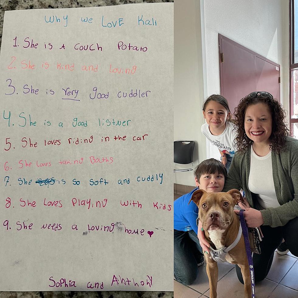 El Paso Kids Write Letter to Help Shelter Dog Find Home