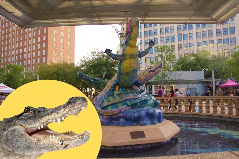 Uncovering El Paso's Alligator Past: Chuco Gators