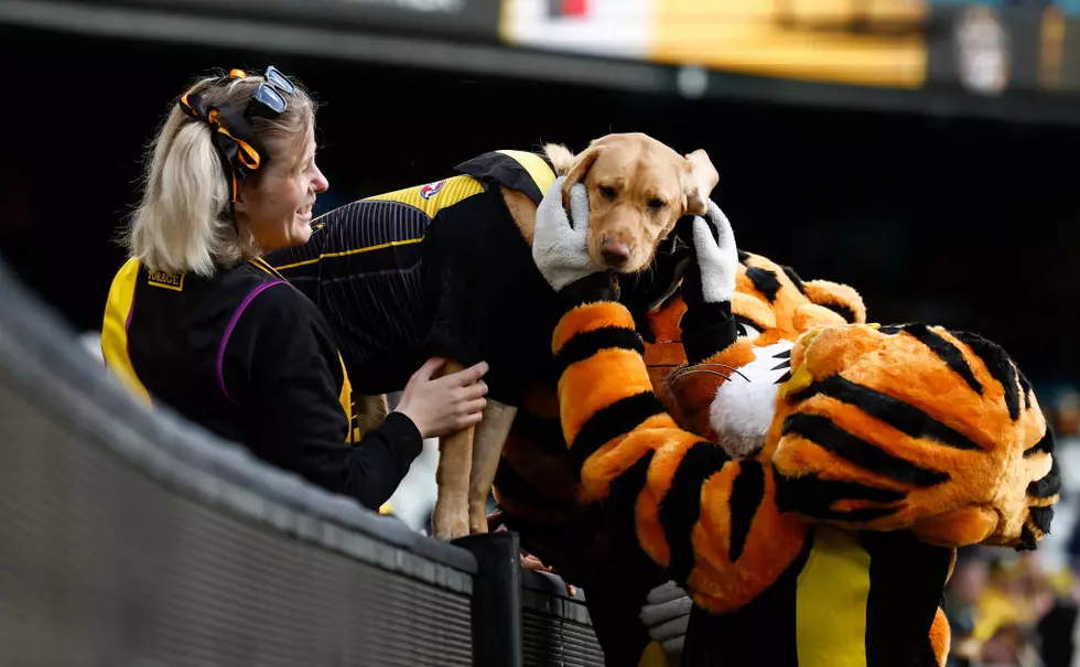 AFL Rd 14 - Richmond v Hawthorn