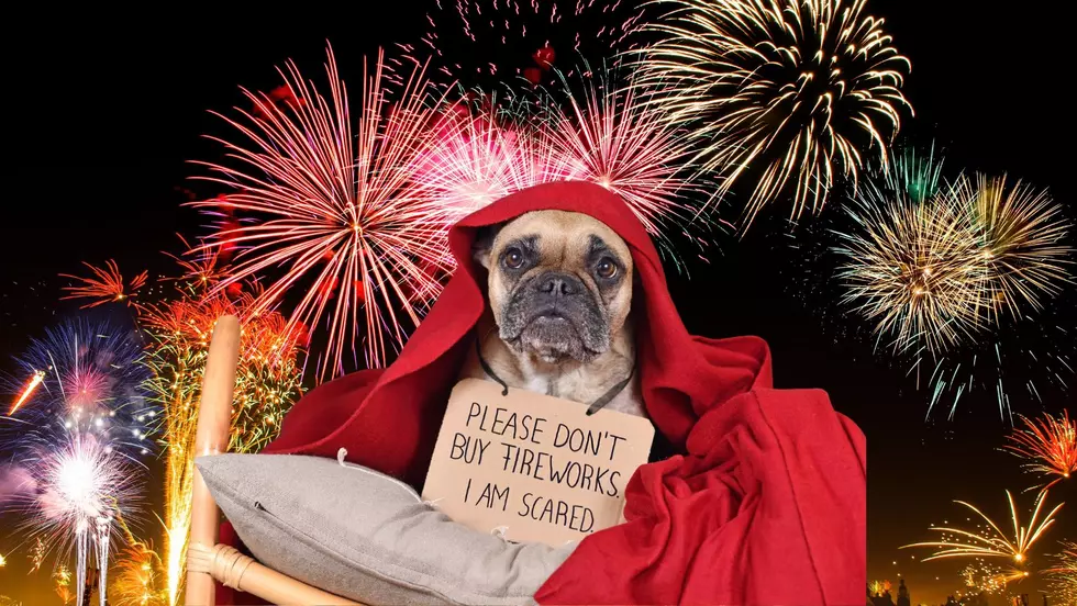 Tips On How To Keep Your Pets Safe on the Fourth of July