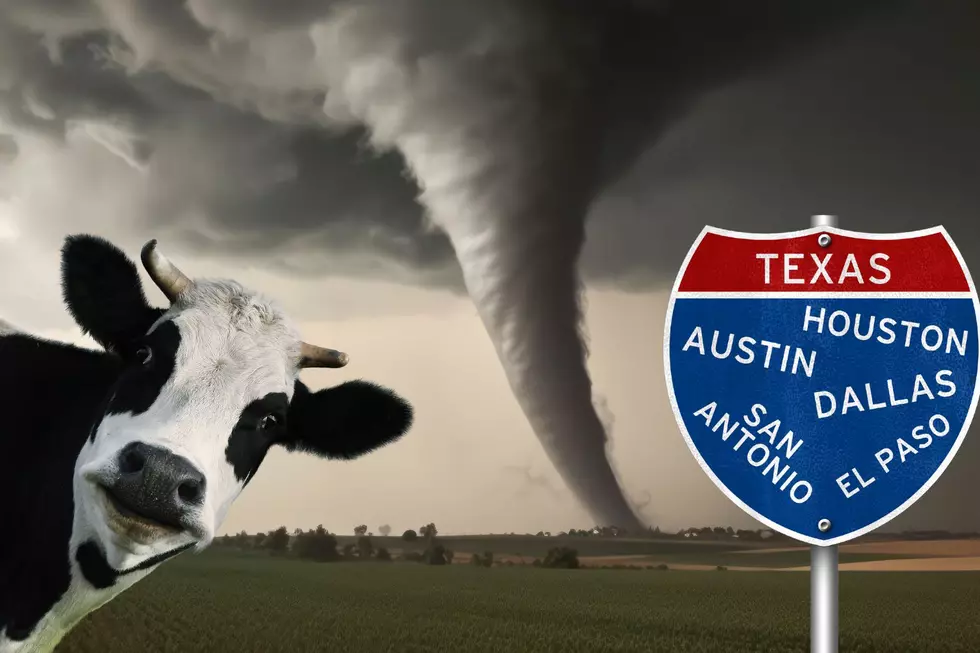 Texas Storm Chasers Capture Glorious Tornado On Camera