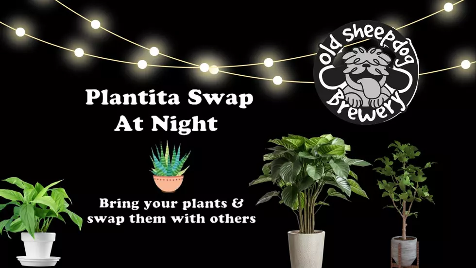 Old Sheepdog Brewery Is Back With Another “Plantita Swap"