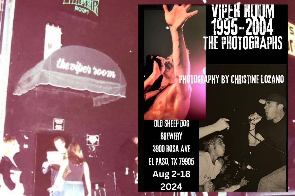 The era of electric music in the Viper Room Photographer’s Showcase