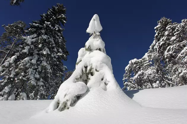 Snoqualmie Pass Closed Today for Avalanche Danger