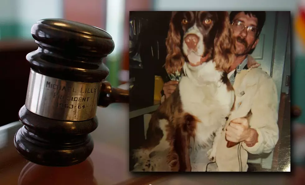 Pasco Court Awards $36,000 After Neighbor Kills Dog