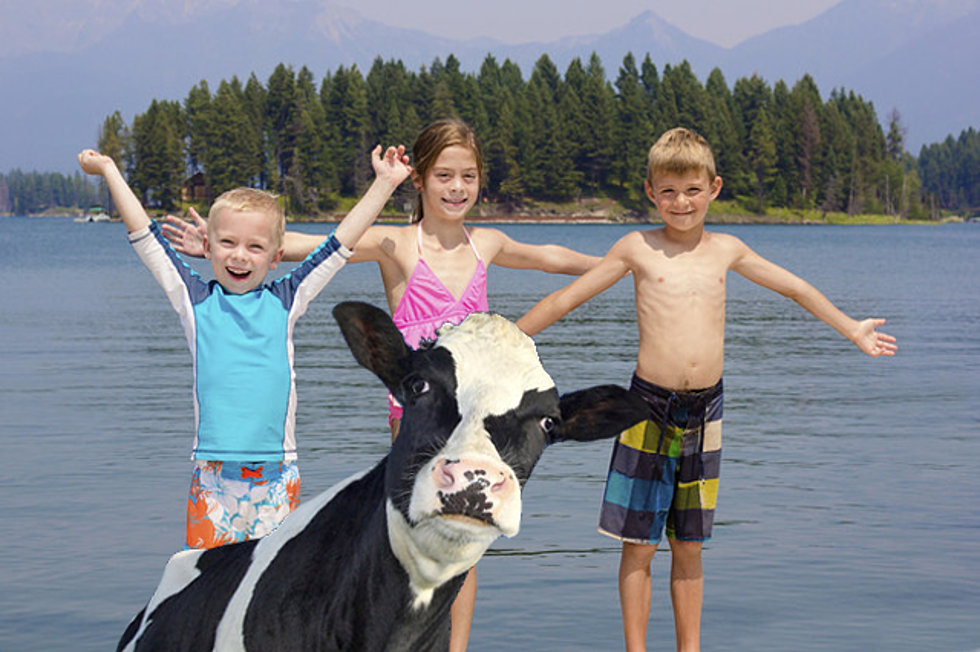 Hear About Oregon’s Rotting Dead Cow Carcass Swimming Spot?